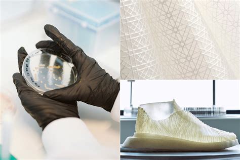  Alginat: Vielseitig einsetzbares Biomaterial für innovative medizinische Anwendungen!