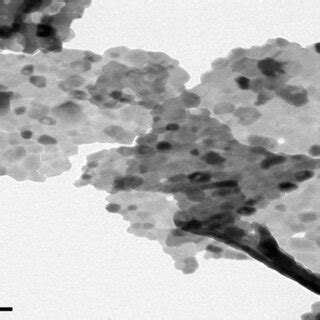  Erbiumoxidnanopartikel – Eine Revolution für Optische Verstärker und Photovoltaik-Technologien?